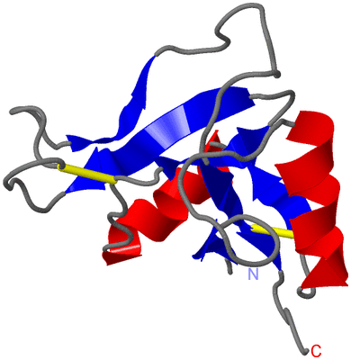 Image NMR Structure - model 1