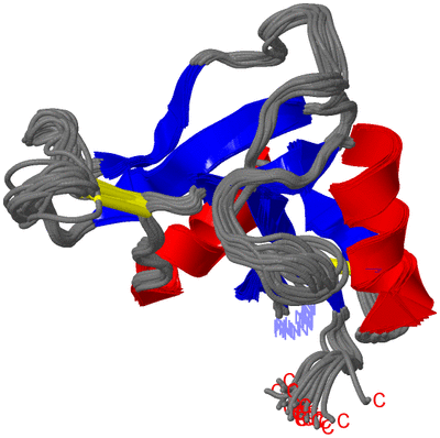 Image NMR Structure - all models