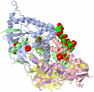 Image Asym./Biol. Unit