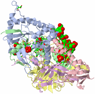 Image Asym./Biol. Unit - sites