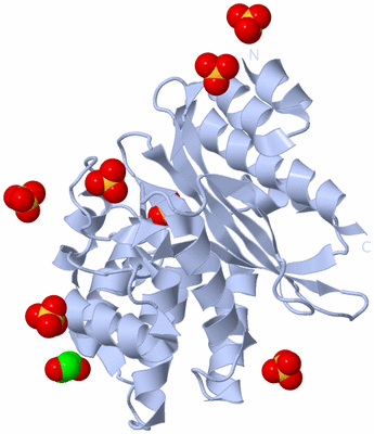 Image Biological Unit 1