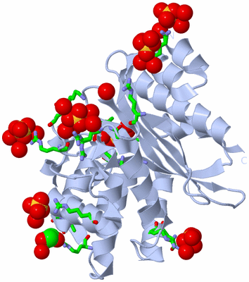 Image Biol. Unit 1 - sites