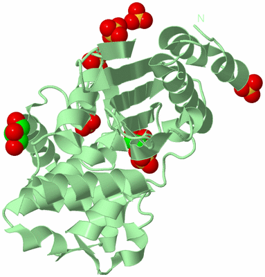 Image Biological Unit 2