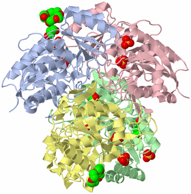 Image Asym./Biol. Unit