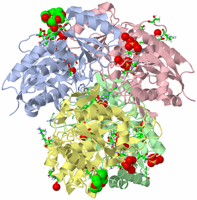 Image Asym./Biol. Unit - sites