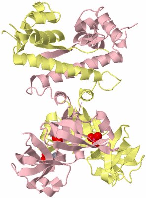 Image Biological Unit 2