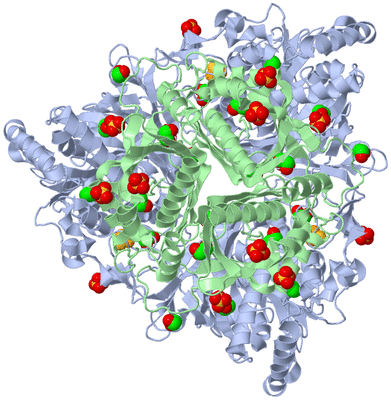Image Biological Unit 1