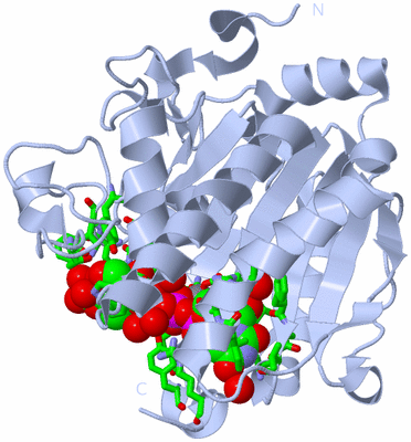 Image Biol. Unit 1 - sites