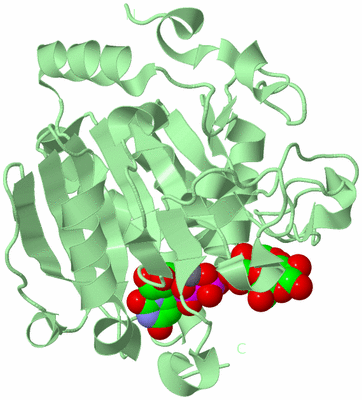 Image Biological Unit 2