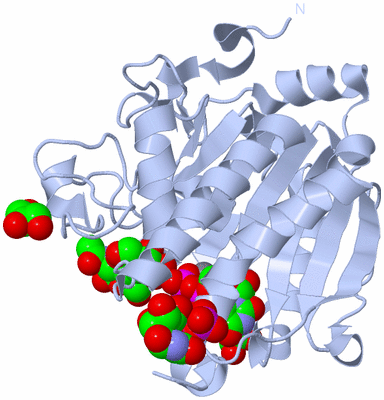 Image Biological Unit 1