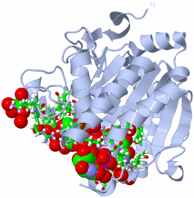 Image Biol. Unit 1 - sites