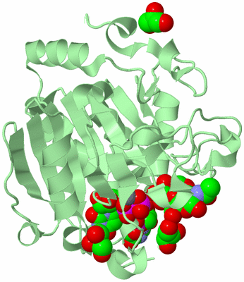 Image Biological Unit 2