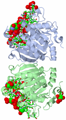 Image Asym. Unit - sites