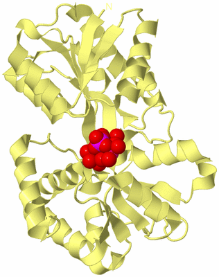 Image Biological Unit 4