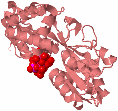 Image Biological Unit 8