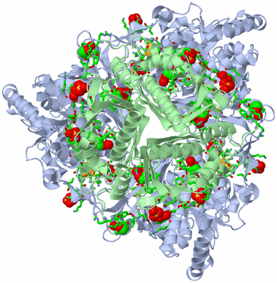 Image Biol. Unit 1 - sites