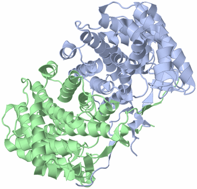 Image Biological Unit 1