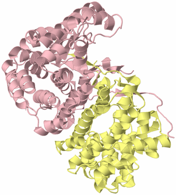 Image Biological Unit 2