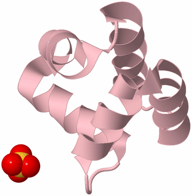 Image Biological Unit 3