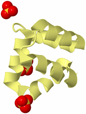 Image Biological Unit 4