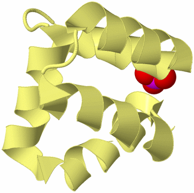 Image Biological Unit 4