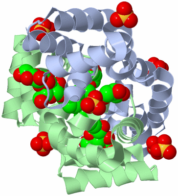 Image Biological Unit 1