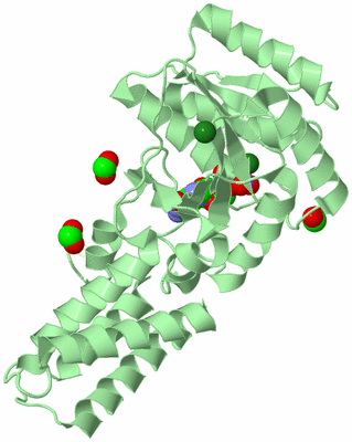 Image Biological Unit 2