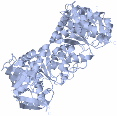 Image Biological Unit 1