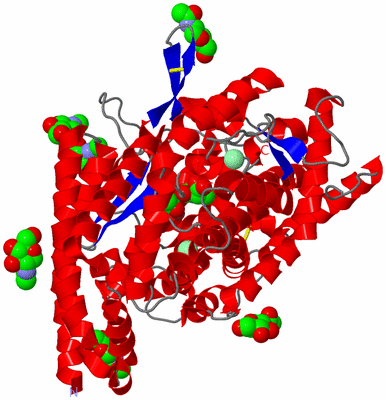 Image Asym./Biol. Unit