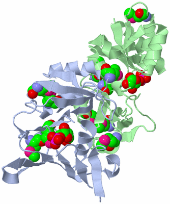 Image Asym./Biol. Unit