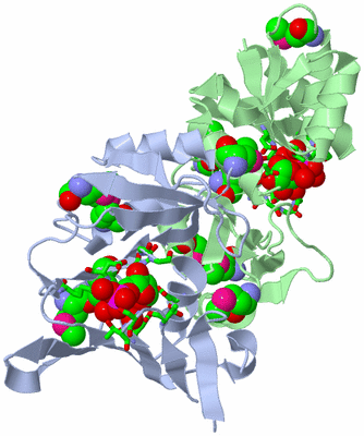 Image Asym./Biol. Unit - sites