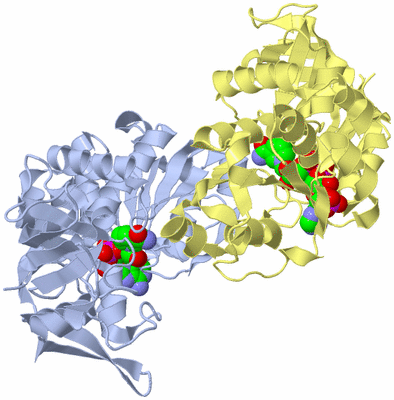 Image Biological Unit 1