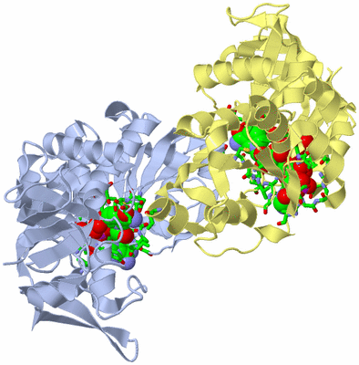 Image Biol. Unit 1 - sites