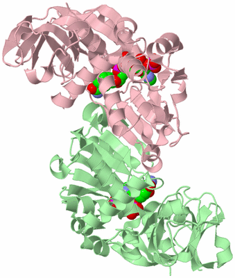 Image Biological Unit 2