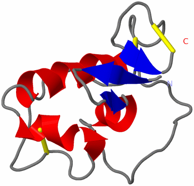 Image NMR Structure - model 1