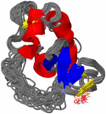 Image NMR Structure - all models