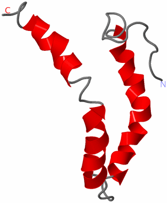 Image NMR Structure - model 1