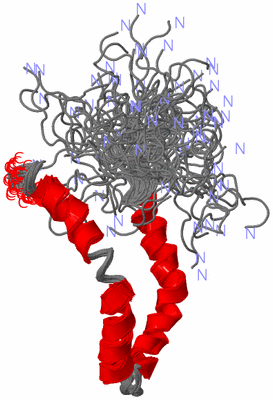 Image NMR Structure - all models