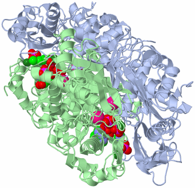 Image Biological Unit 1