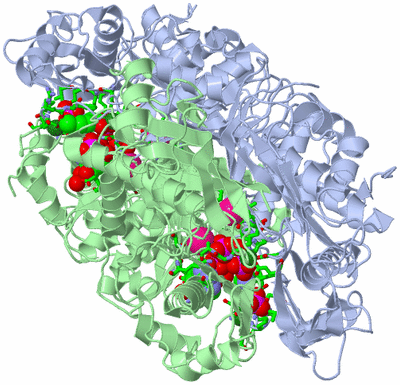 Image Biol. Unit 1 - sites