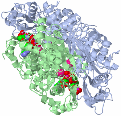 Image Biological Unit 1