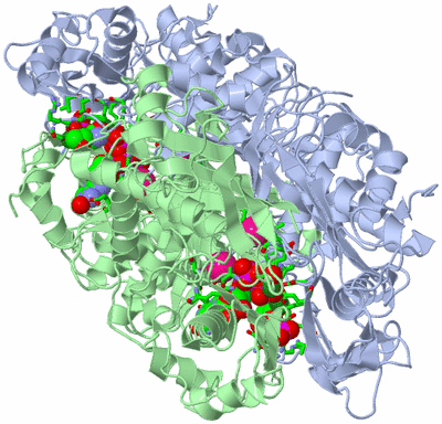 Image Biol. Unit 1 - sites