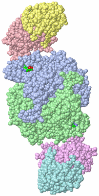 Image Asym./Biol. Unit