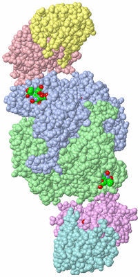 Image Asym./Biol. Unit - sites