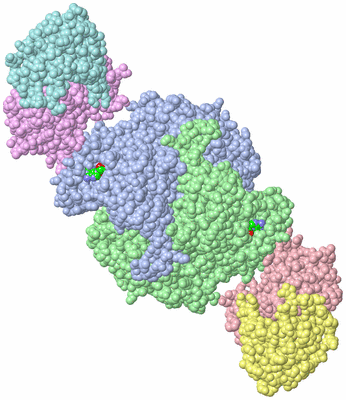 Image Asym./Biol. Unit