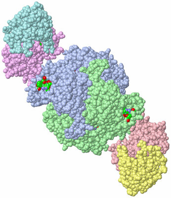 Image Asym./Biol. Unit - sites