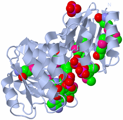 Image Biological Unit 1