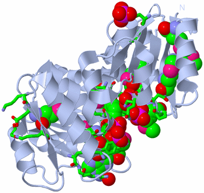 Image Biol. Unit 1 - sites