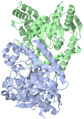 Image Asym./Biol. Unit