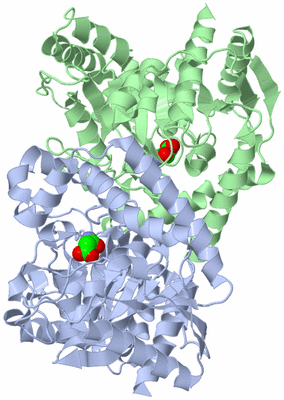 Image Asym./Biol. Unit